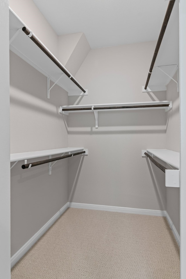 spacious closet featuring light colored carpet