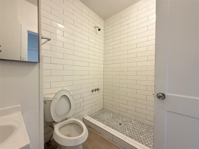 full bath featuring a stall shower, a sink, and toilet