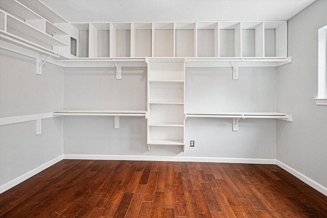 walk in closet with dark wood-type flooring