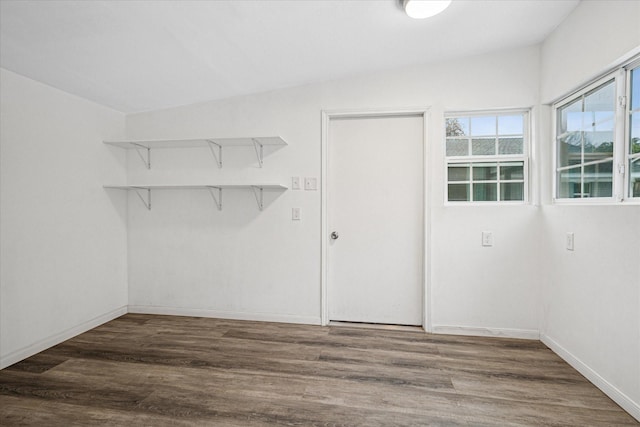 spacious closet featuring dark wood finished floors