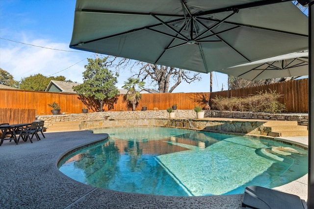 view of swimming pool with a fenced in pool, a patio area, and a fenced backyard