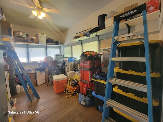 storage with ceiling fan
