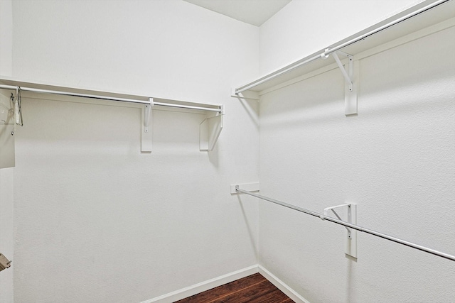 spacious closet with dark wood-type flooring