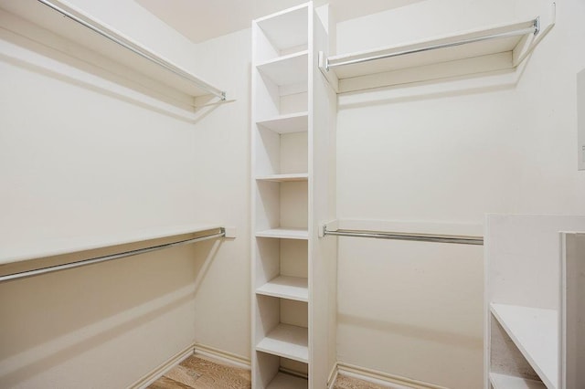 view of walk in closet