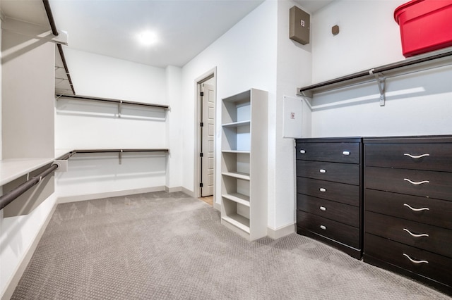 walk in closet with light carpet