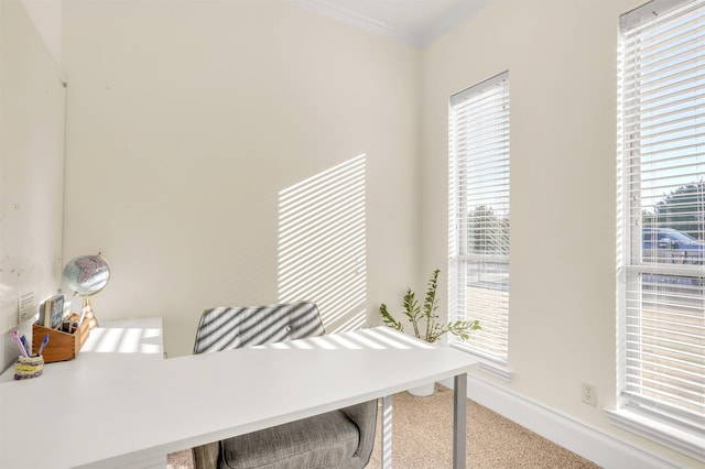 office area with carpet flooring and crown molding