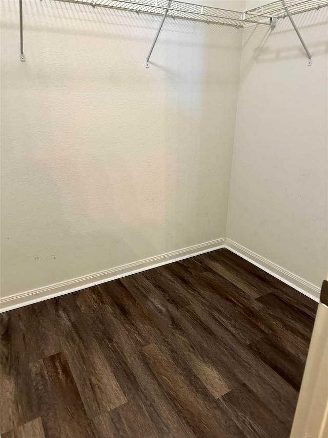 walk in closet featuring wood finished floors