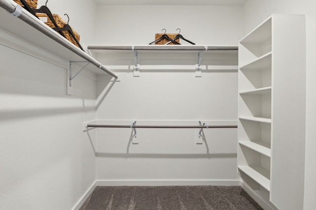 walk in closet featuring dark carpet