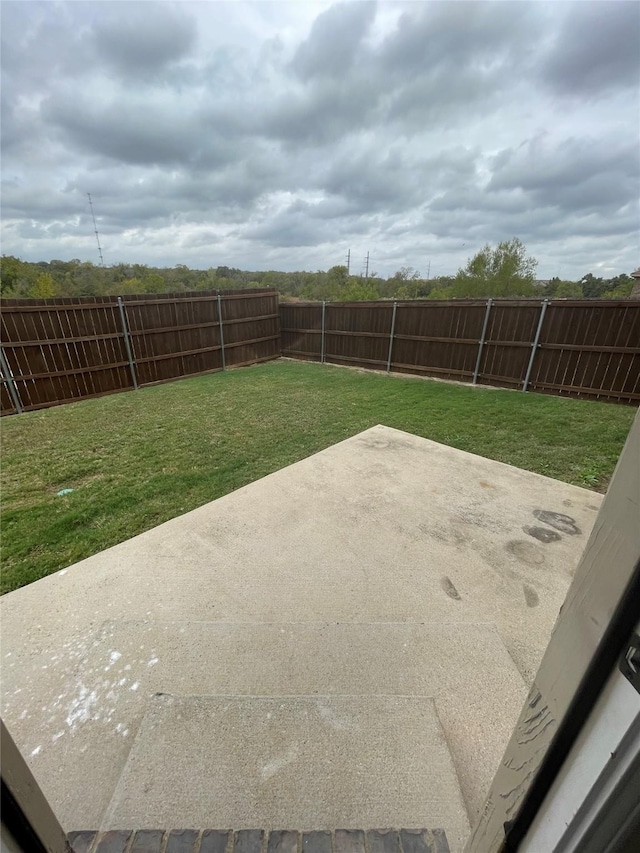 view of yard with a patio area and a fenced backyard