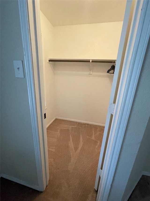 spacious closet featuring carpet