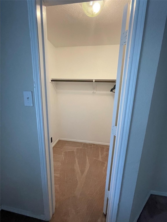 spacious closet featuring carpet flooring