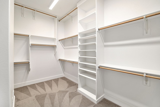 walk in closet featuring carpet