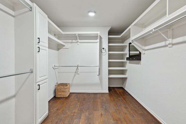 walk in closet featuring wood finished floors