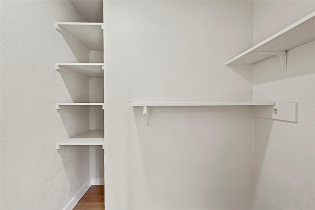 spacious closet featuring dark wood-style floors