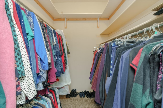 spacious closet featuring carpet and attic access