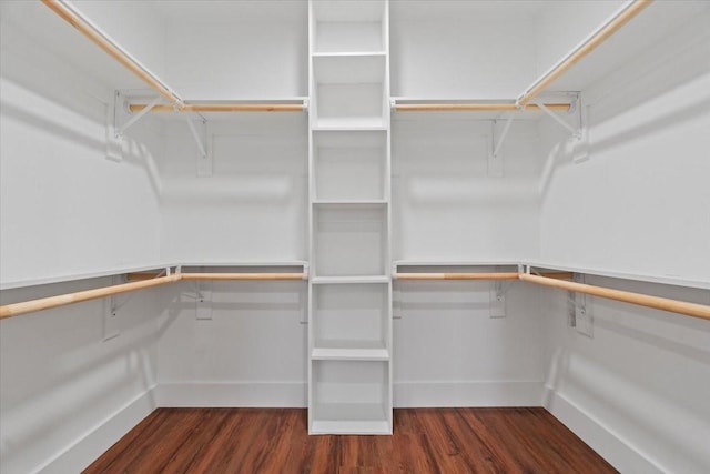 walk in closet featuring dark wood-type flooring