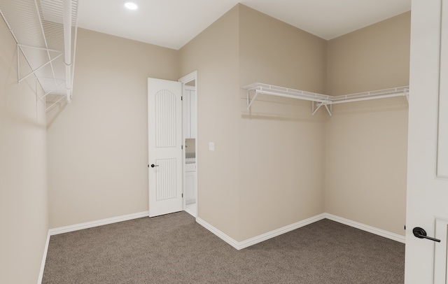 walk in closet featuring carpet