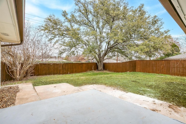 view of yard with a fenced backyard and a patio