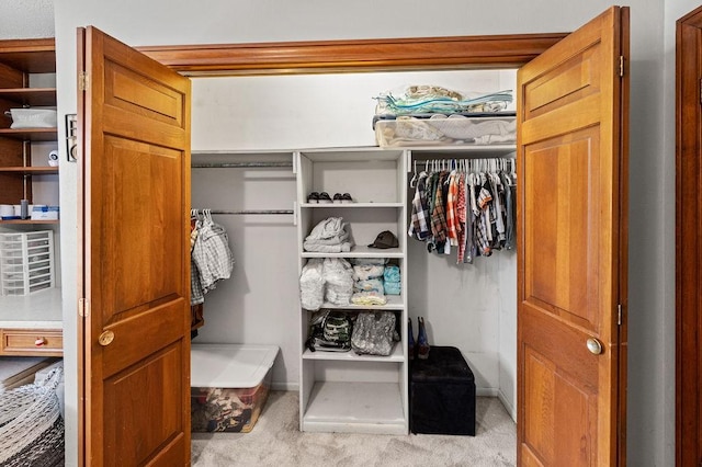 view of closet