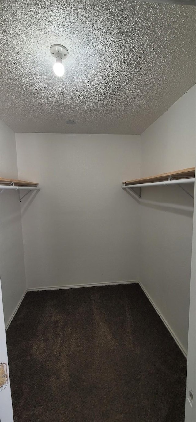 spacious closet featuring dark colored carpet