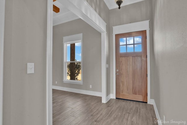 foyer featuring light wood-type flooring, a wealth of natural light, and baseboards