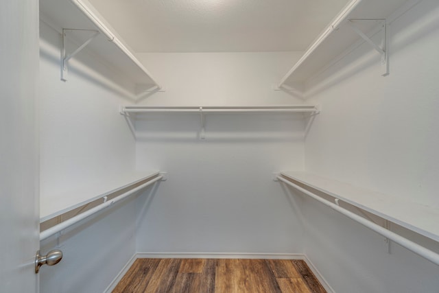 spacious closet with dark wood-style flooring