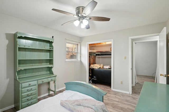 bedroom featuring light wood finished floors, baseboards, ceiling fan, a walk in closet, and a closet