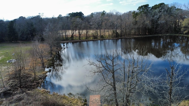 view of water feature featuring a forest view