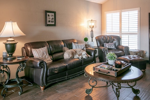 living room with wood finish floors and vaulted ceiling