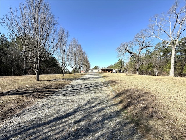 view of street featuring gravel driveway