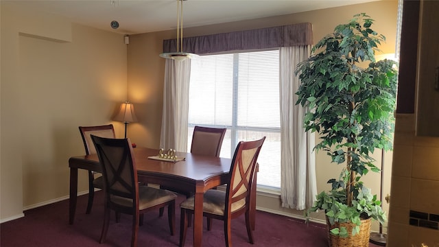 dining room with baseboards