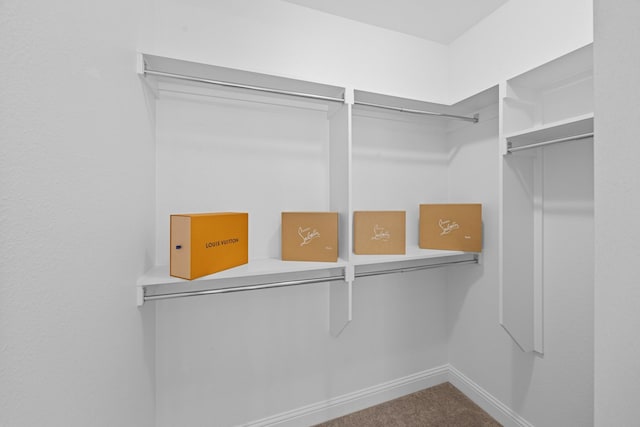 walk in closet featuring carpet flooring