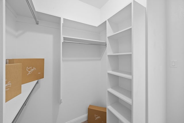 view of walk in closet