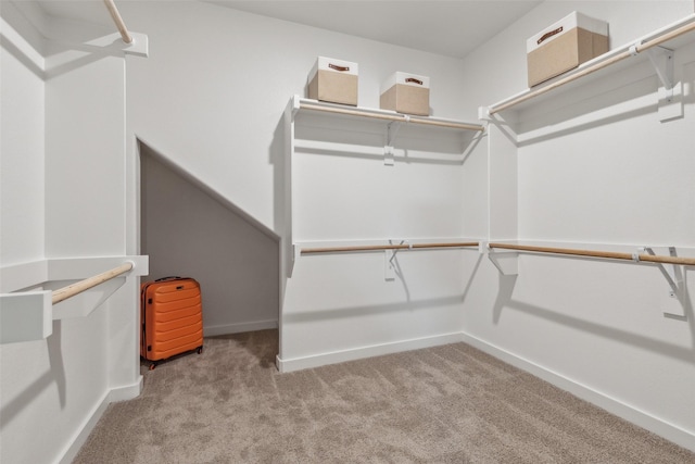 walk in closet featuring light colored carpet