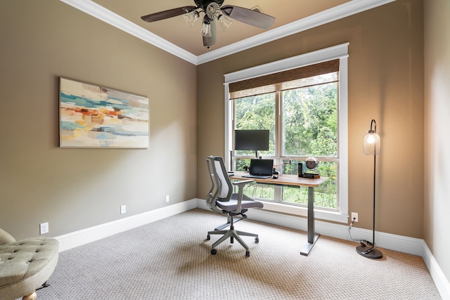 carpeted office space with crown molding, baseboards, and ceiling fan