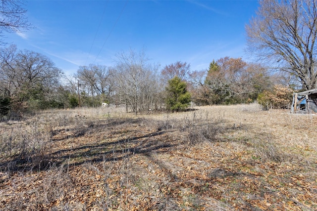 view of local wilderness with a rural view