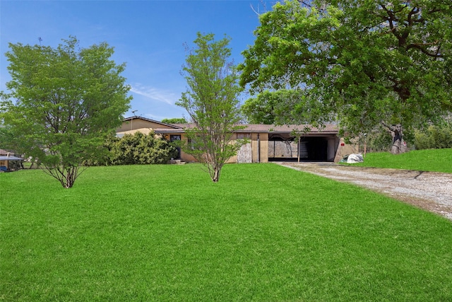 ranch-style home with dirt driveway, an attached carport, and a front lawn