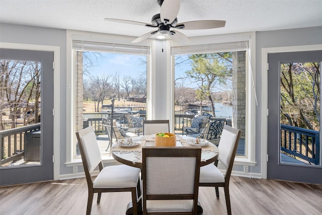 dining room with a textured ceiling, wood finished floors, and a healthy amount of sunlight