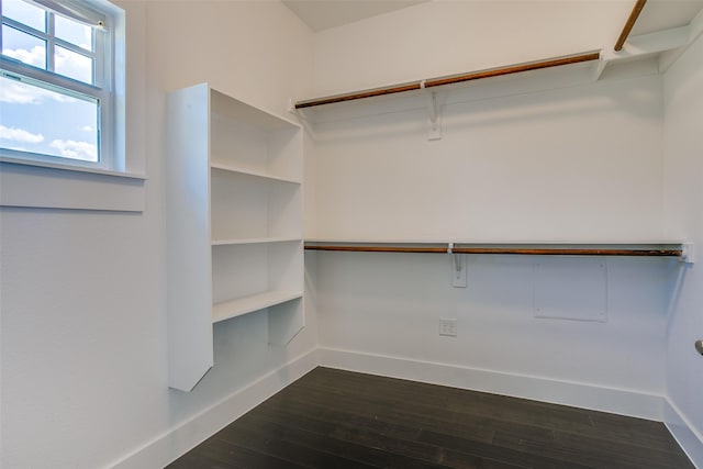 walk in closet featuring dark wood-style floors