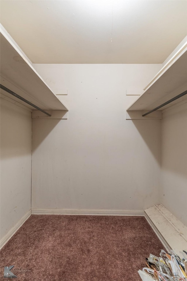 spacious closet with carpet flooring