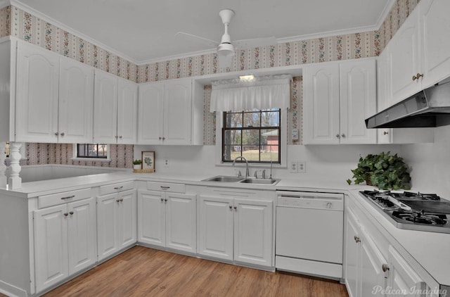 kitchen with light countertops, white dishwasher, a sink, and white cabinetry