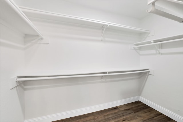 spacious closet with dark wood finished floors