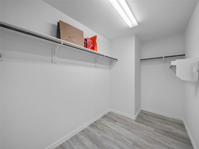 spacious closet featuring light wood-type flooring