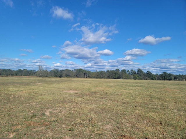 Listing photo 3 for 11200 Sweet Pea Rd, Gilmer TX 75644