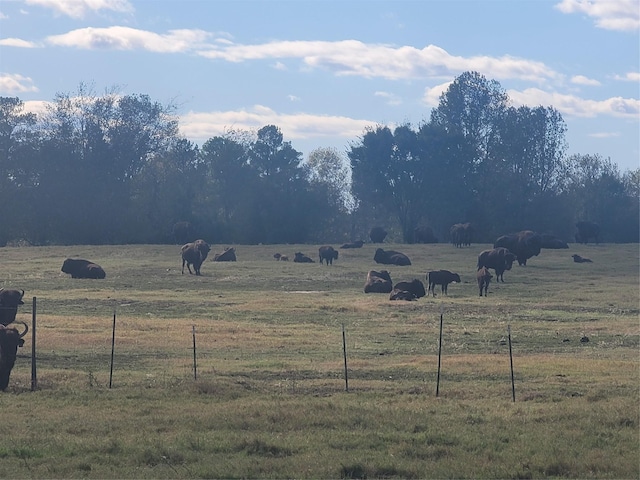 11200 Sweet Pea Rd, Gilmer, TX 75644
