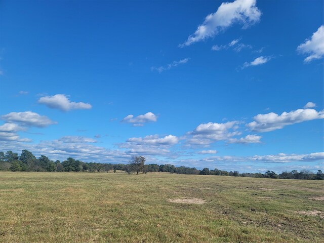 11200 Sweet Pea Rd, Gilmer, TX 75644