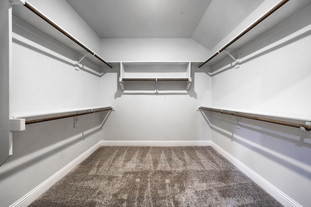 walk in closet with vaulted ceiling and carpet flooring