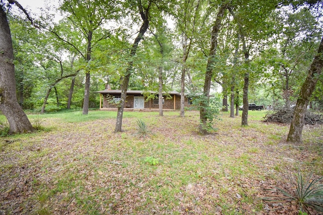408 Tarrapin, Murchison, TX 75778 - view of yard
