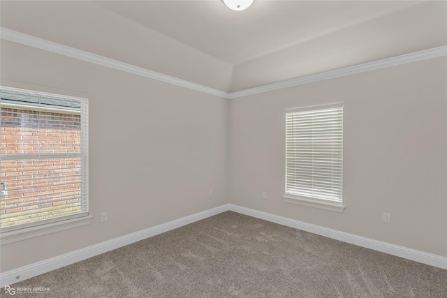 empty room featuring carpet, crown molding, and baseboards