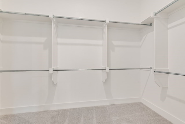 3206 Bexar St, Rockwall, TX 75032 - walk in closet with carpet floors